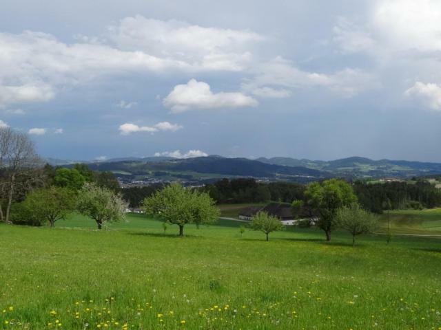 WaldburgDesl'S Little Farm公寓 外观 照片