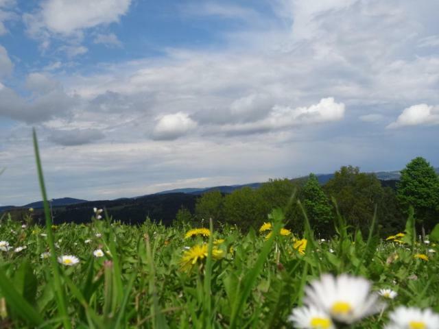 WaldburgDesl'S Little Farm公寓 外观 照片