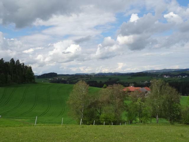 WaldburgDesl'S Little Farm公寓 外观 照片